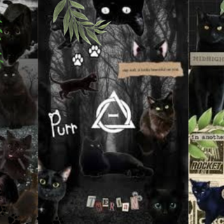 black cat Therian wallpaper.