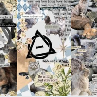 cat Therian wallpaper