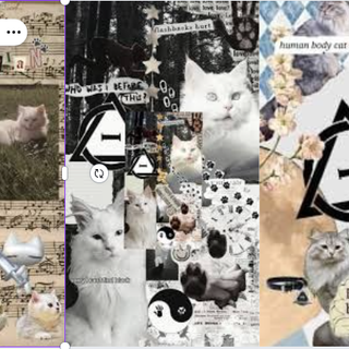 white cat Therian wallpaper