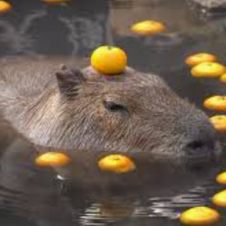 Pov : you want an orange