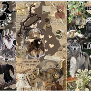 wolf Therian wallpapers 