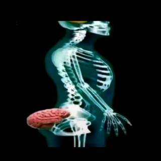 hey so it’s been 3 years i just remembered i had this account good lord what was i postinh 