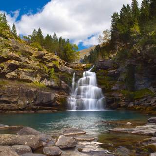 Waterfall In Forest Nature Water Rocks