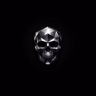 Chrome Skull