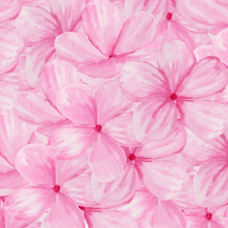 pink Hawaiian hibiscus