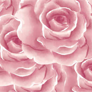 pink roses