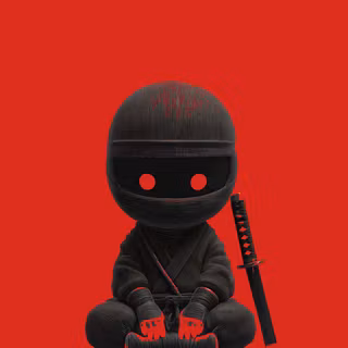 Ninja 