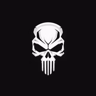Punisher Skull