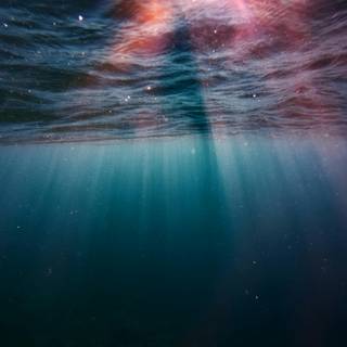 Ocean (Under Water)
