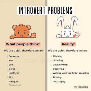 The reality of me being an introvert Irl ....