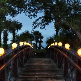 Beautiful wooden bridge
