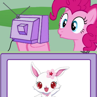 jewel pets memes<333