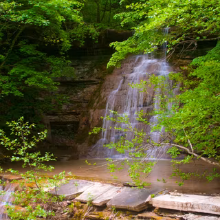 Hidden Waterfall Surrounded