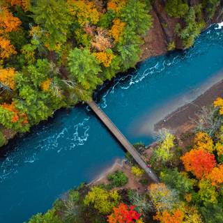 Forest Divided By The River
