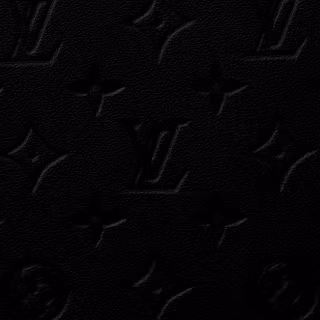 Louis Vuitton Leather 