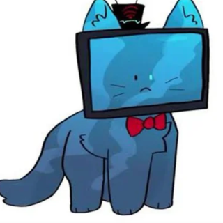 vox cat AAYAAYA