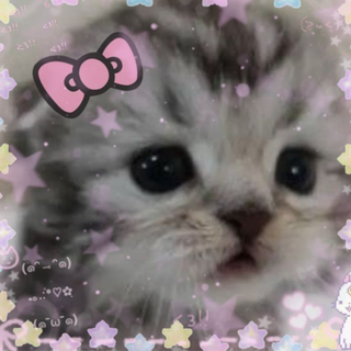 Cat uwu<3333
