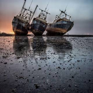 un moment de liniște melancolică la malul mării