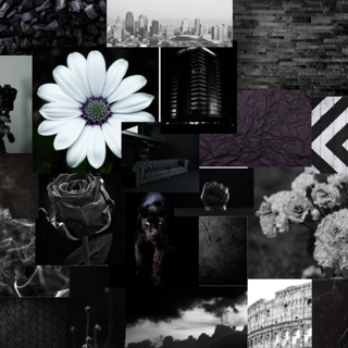 black and white collage