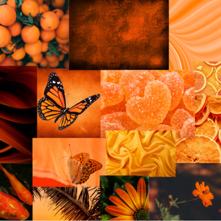 orange collage