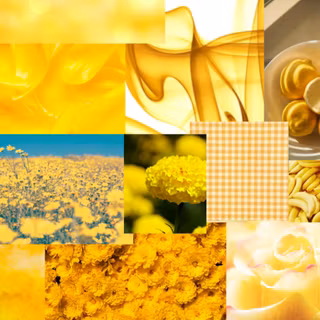 yellow collage