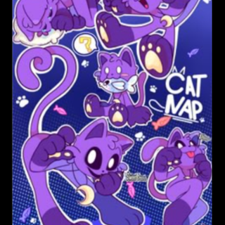 catnap the phone