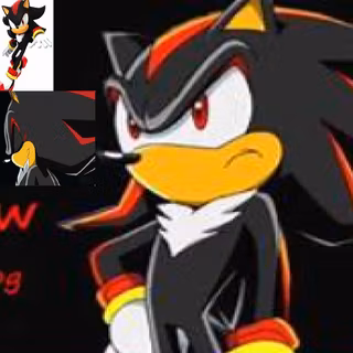 shadow the hedgehog