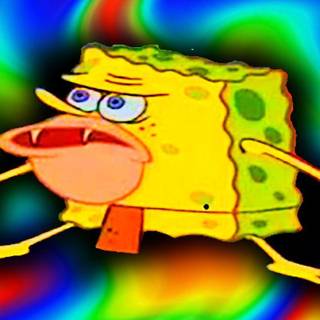 "Sponge bob"