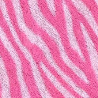 Pink Zebra Wallpaper