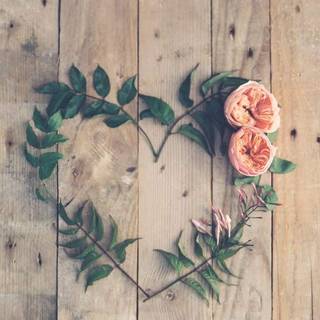 inimă formată din frunze și trandafiri de grădină pe un fundal de lemn rustic
