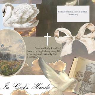 ❤️❤️❤️❤️❤️