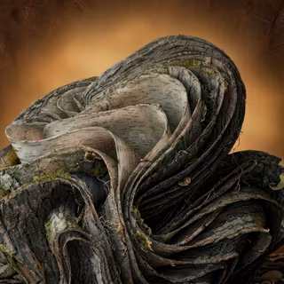 Windows bloom desktop wallpaper mod - Bark bloom