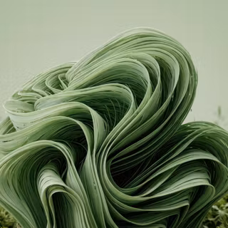 Windows bloom desktop wallpaper mod - Grass on the meadown