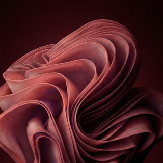 Windows bloom desktop wallpaper mod - Women's tissue