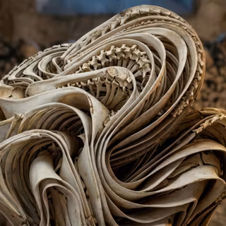 Windows bloom desktop wallpaper mod - Bones