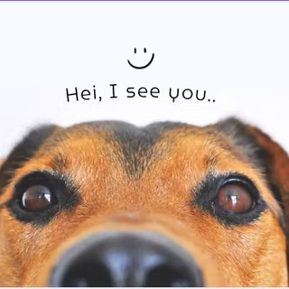 My older brother mike