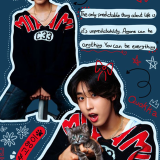 Han jisungs cat wallapper