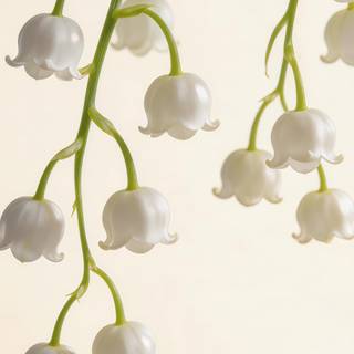 White Lily of the Valley Aesthetic 4K Wallpaper