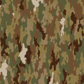 OCP Camo Pattern 