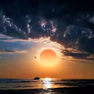 Camera Robenson Nex5