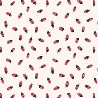 Ladybugs :)