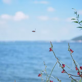 Mouth of the Songkhla River, Thailand