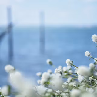 Mouth of the Songkhla River, Thailand
