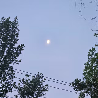 Took a picture this morning 