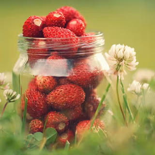Strawberry jar