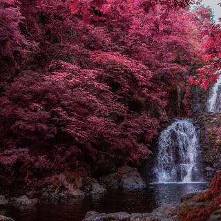 Waterfall pink