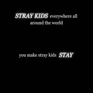 Stay you make stray kids STAY
