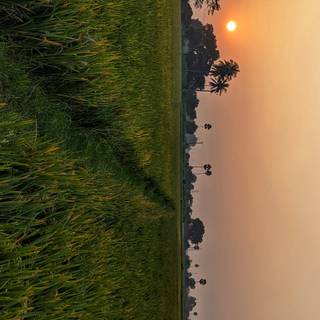 Sunset HD wallpaper