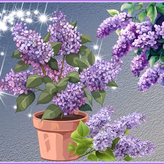 LOVELY LILACS