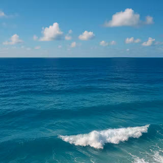the sea